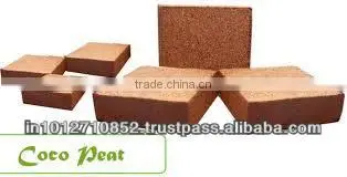 WASHED COCOPEAT photo-5