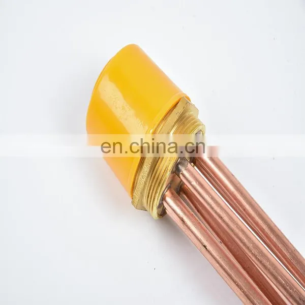 The Popular Customize Copper Water Heater 110v Small Water Heater 120v Immersion Water Heater photo-4
