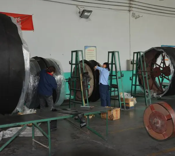 Henan Shuangfu Industry Co.,ltd company overview - view 3