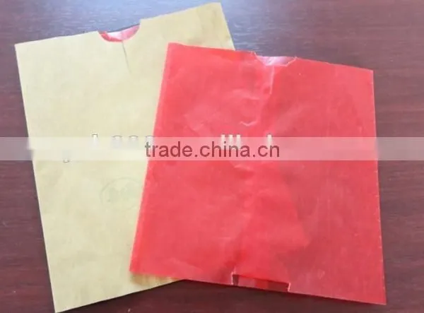 High Quality Brown Kraft Paper Manufacturer Fruit Growing Paper Bags photo-6
