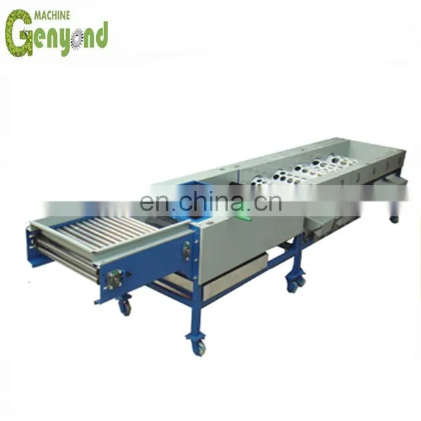 Onion Garlic Sorting and Grading Machine photo-2