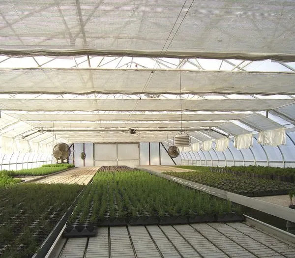 50% Aluminum Shade Net For Greenhouse Shading, Vegetable Garden Protection Silver Shade Mesh,UV Resistant Plastic Thermal Screen photo-3