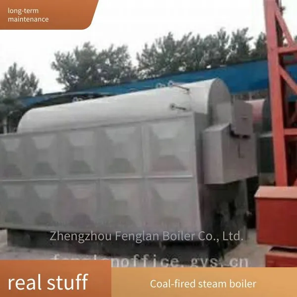 Dzl Chain Biomass Horizontal Grate Steam Boiler for High - Efficiency and Energy - Saving in Brewing and Food Production photo-4
