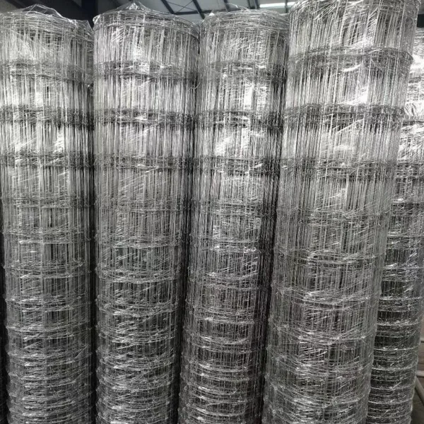 Factory Manufacturing Sales Customized Hardware Cloth Steel Iron Wire Mesh Farm Fence Roll Galvanized Welded Wire Mesh photo-2