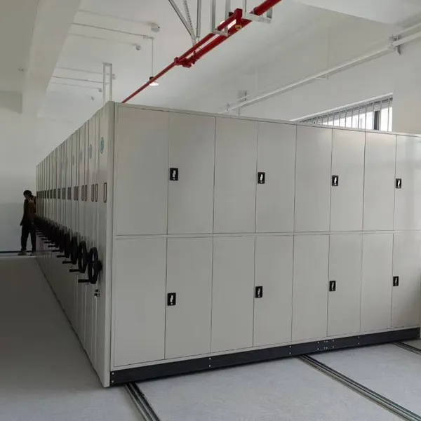 Dense Cabinets, Wanglaili Wll-1, Extra-large Space for Storage, Lifetime Free Maintenance, Free Nationwide Delivery