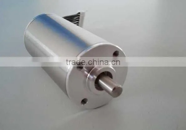 High Speed Brushless Brushless dc Motor