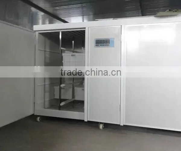 Factory Price Automatic Bean Sprout Growing Machine for Sale photo-6
