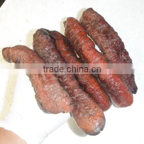 Dry Sea Cucumber Vietnam, Lolly Fish, Holothuria Atra photo-5