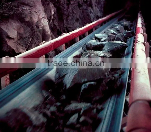 Flame Resistant Conveyor Belt For Hot Sale photo-5