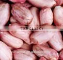 Peanut Kernels,blanched Peanut ,peanut in Shell,roasted Peanut Kernels,roasted Peanut Chopped and Splits,roasted Peanut Inshell