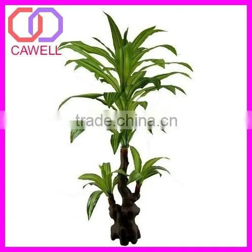 Types of Ornamental Plants