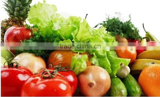 Vegetable Fruit Sorter/fruit Vegetable Sorting Machine/vegetable Fruit Picking Machine photo-2