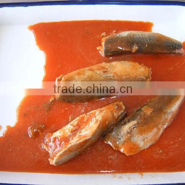 Good Quality Canned Mackerel in Tomato Sauce for Sale photo-4