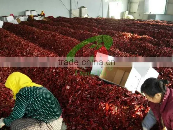 2015 Paprika Box Best Grade Paprika Pods photo-4