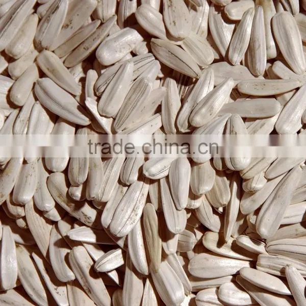 White Sunflower Seeds From Turkey