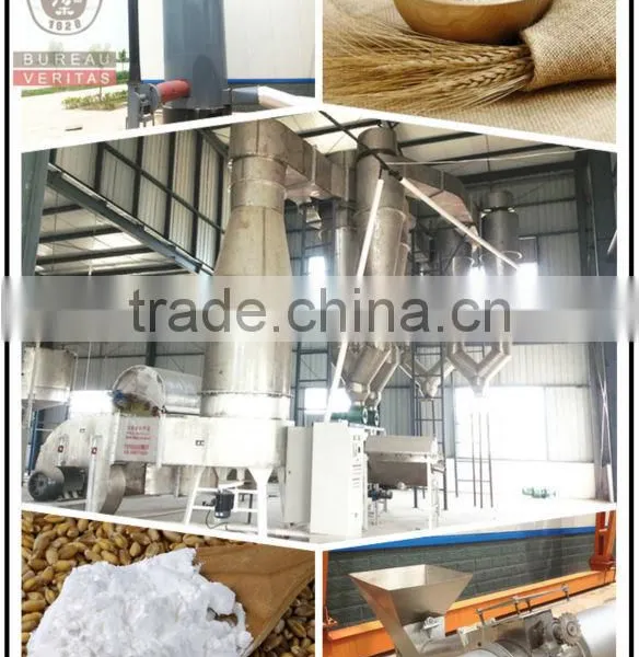 Food Grade Flour Dryer Machine|wheat Flour Drying Machine|seed Drier