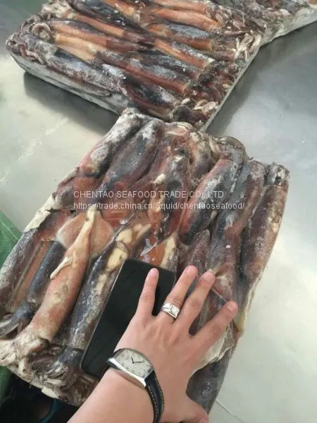 Frozen Squid photo-2