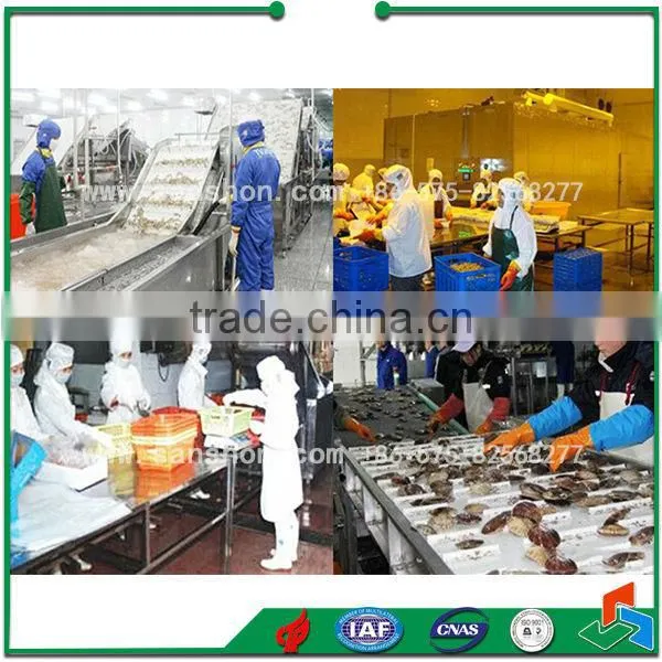 Seafood Processing Shrimp Grading Machine photo-6