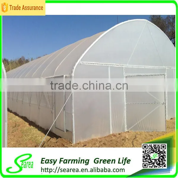Searea Economical Single Span Greenhouse photo-2