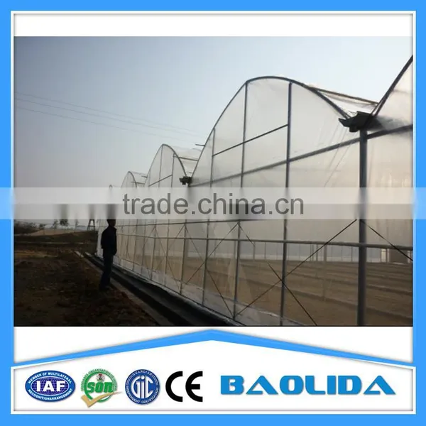 Large Multi Span Green House photo-5