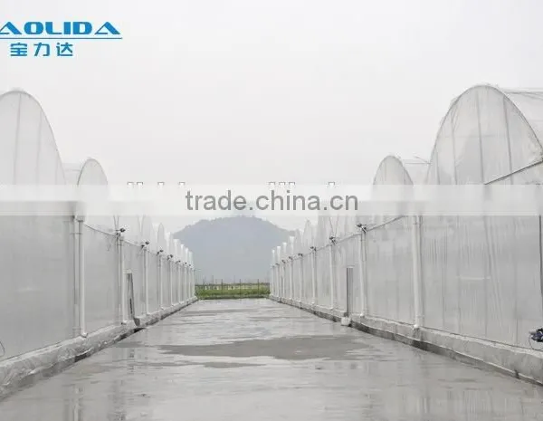 Cheap Easy Multi-span Greenhouse pe Film Green House photo-4