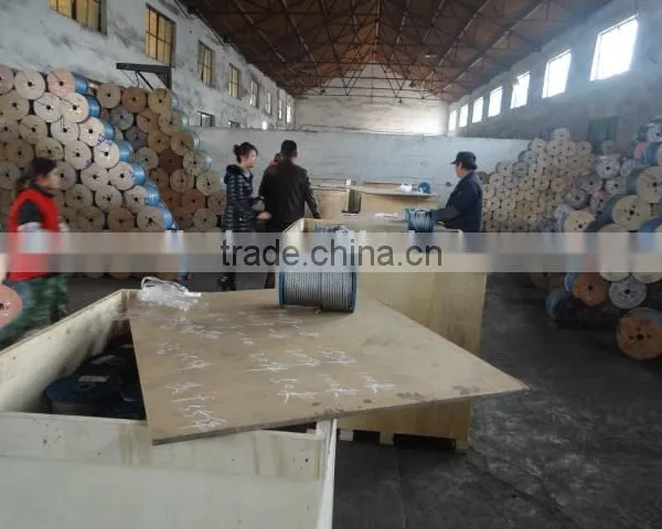 Wells Factory CE 6mm Anti Twisted Stainless Steel 304 and 316 Lifting Wire Rope photo-2