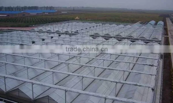 Polycarbonate Sheet Greenhouse-1