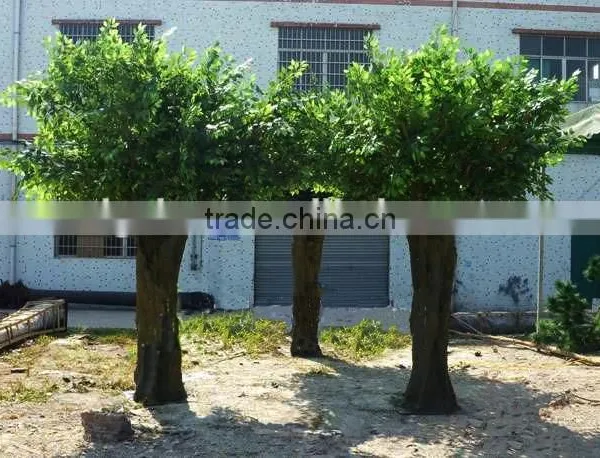 UV Resistance Large Artificial Decorative Tree Hot Sale Indoor Ficus Trees Artficial Ficus Tree photo-5
