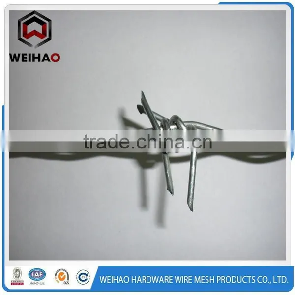 High Quality Galvanized Twist Barbed Wire photo-3
