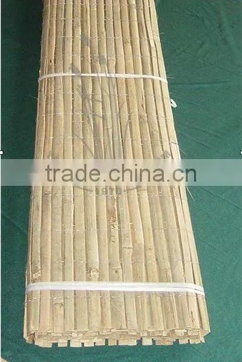 Bamboo Fence photo-2