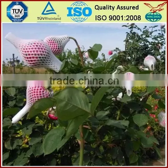 PE Plastic Protection Sleeve Packing Net for Flower Bud photo-2