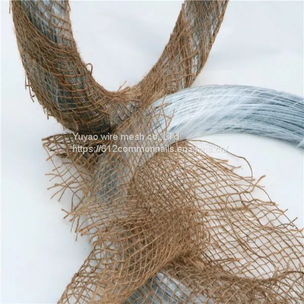 BWG20 2kX10 Rolls Galvanized Building Wire photo-4