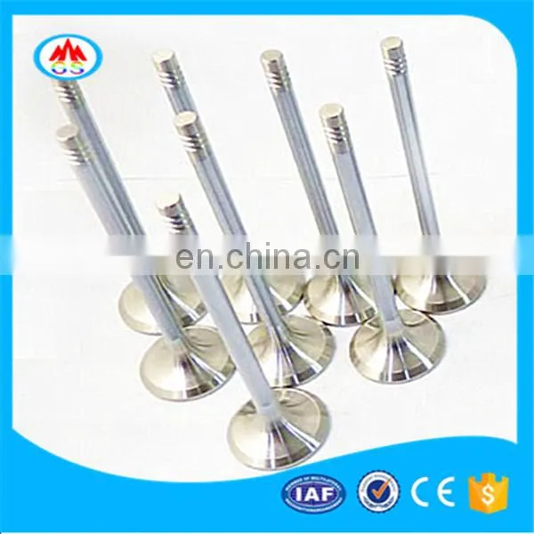 Gas Intake and Exhaust Engine Valves for Tcg 2032 12281423 12281435 photo-4