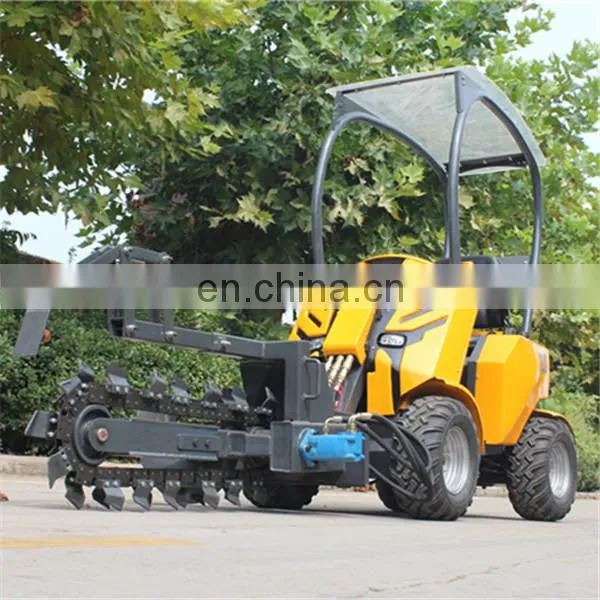 Avant Electric Mini Loader for Sale photo-4