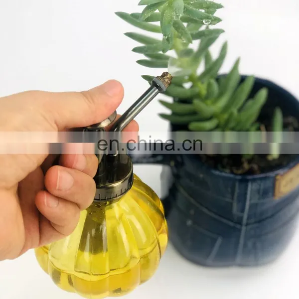 Gardening Plant Watering Glass Sprayer Fine Mist Spray Bottle With Plastic Top Pump photo-3