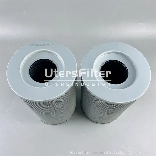 FBX-250X20C UTERS Replace Leemin Hydraulic Oil Filter Element photo-2