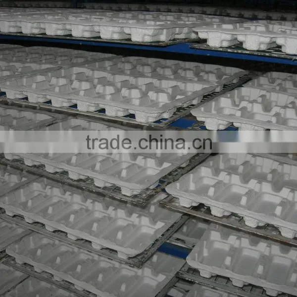 Accept Custom Order and Eco-friendly Recycled Molded Pulp Tray for Egg