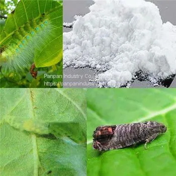 Supply Insecticides Imidacloprid 97%TC Imidacloprid Pest Control Cas 138261-41-3 photo-3