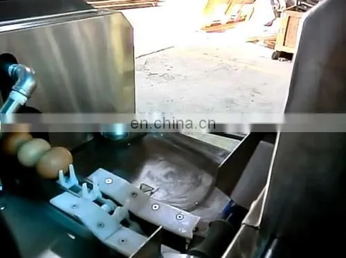 Small Capacity Egg Grader Machine photo-5