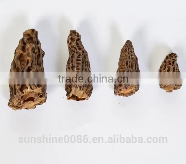Dried Morel Mushroom Free Shipping and Market Prices for Mushroom photo-2
