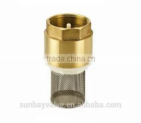 Brass Check Valve With Filter and Plastic Core CE Proved