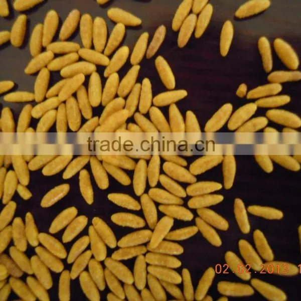 High Quality Artifical Rice Process Equipment photo-3