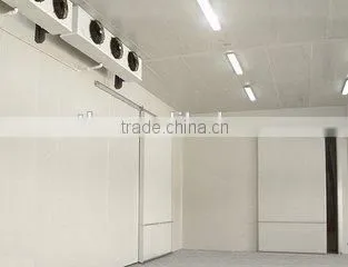 PU Sandwich Panel Fruits/vegetables Cold Room Storage photo-5