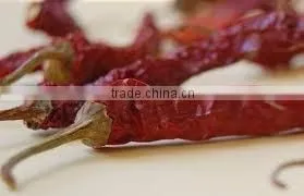 Byadgi Chillies photo-6