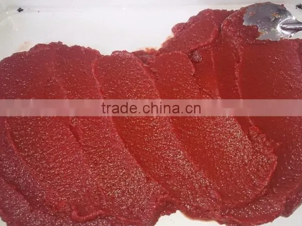 Tomato Paste for African Market From Manufacturer.