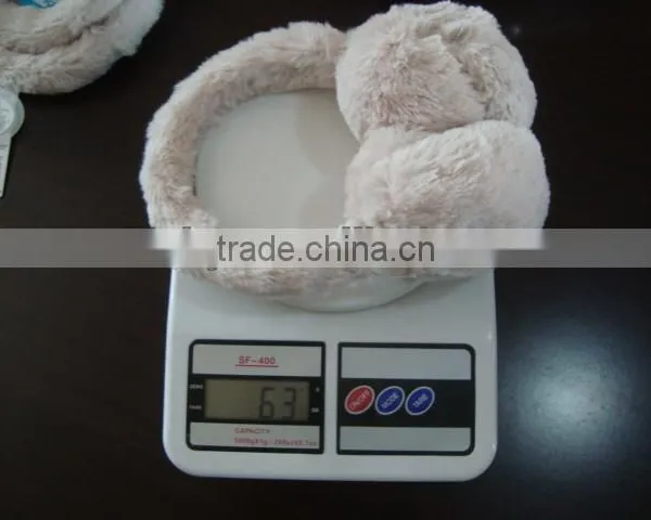 Earmuffs Inspection Service