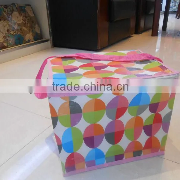 PP Non Woven Recreational Wine Cooler Plastic Bag photo-3