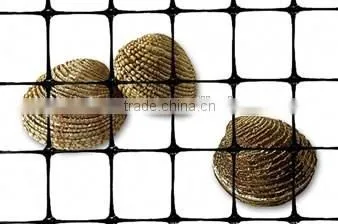 High Density Plastic Flat Netting for Oyster photo-4