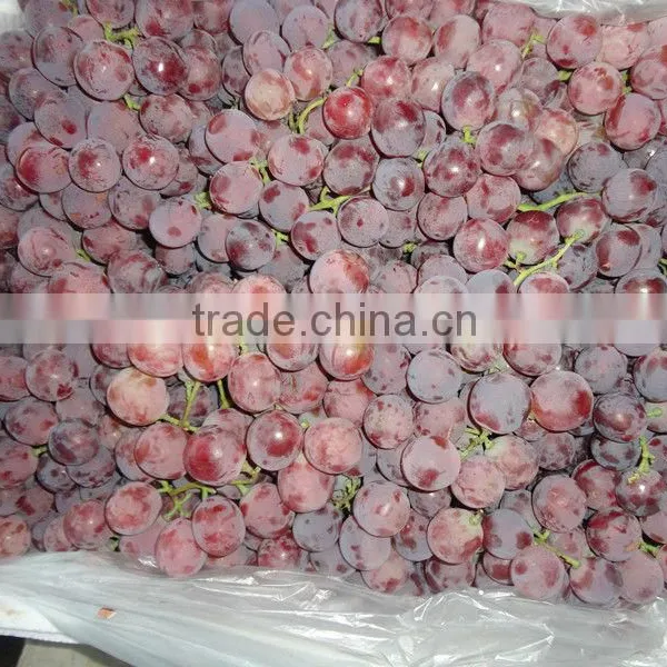 Red Global Grape/Red Grape/Bulk Grape photo-2
