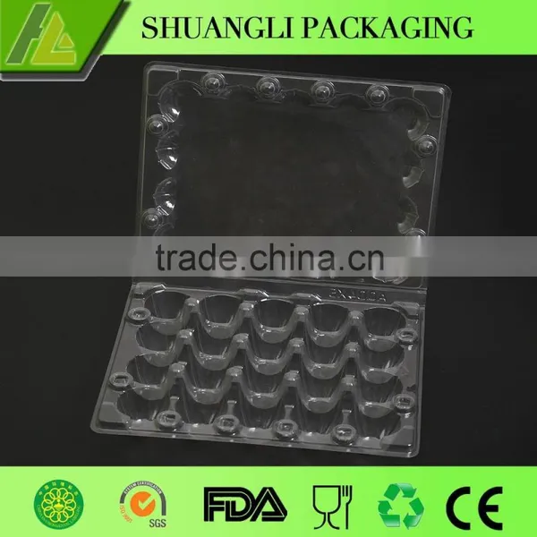 High Quality Clear Transparent Plastic Quail Egg Cartons for Sale photo-5